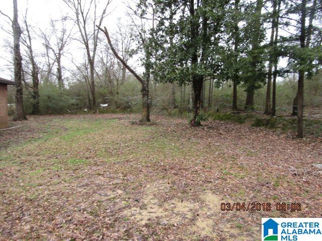 3643 Smith Lake Dam Road Jasper, AL 35504 - Photo 3 of 14