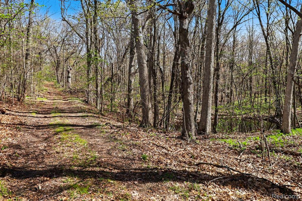8815 Milford Road Holly, MI 48442 - Photo 22 of 52
