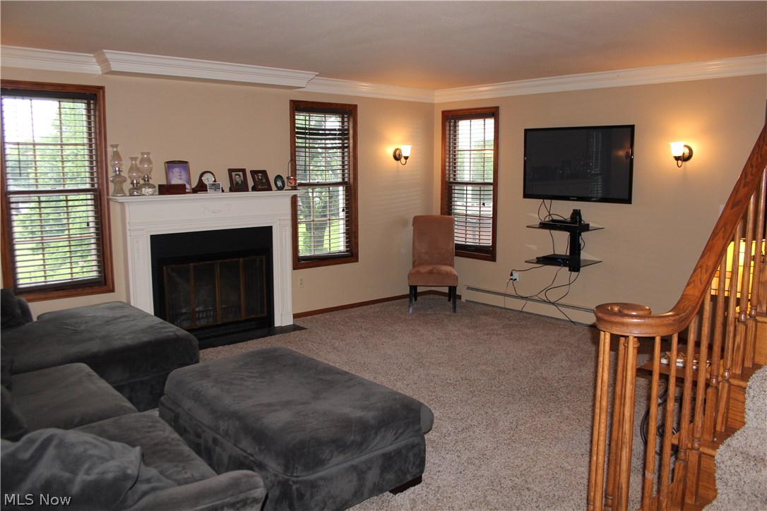 156 Johnson Road Wadsworth, OH 44281 - Photo 5 of 20 Large Living room is open to the gourmet kitchen, has a wood burning FP and looks out over the park like yard.