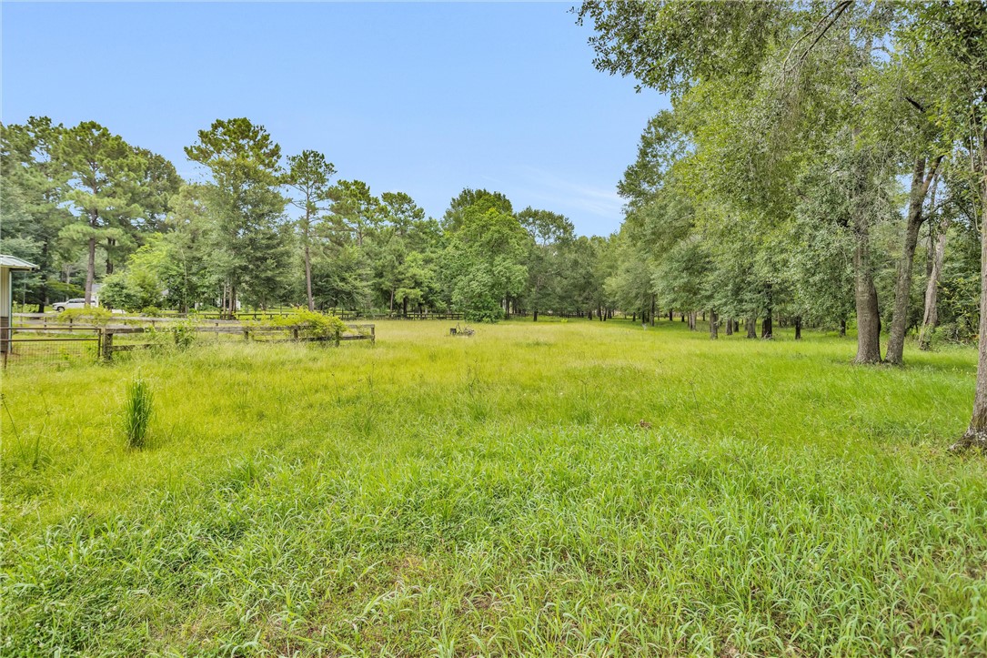 30820 Collier Smith Road Magnolia, TX 77354 - Photo 49 of 50 a view of a large yard with plants and large trees