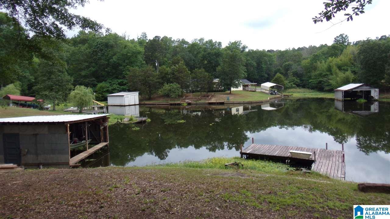 311 Shores Camp Road Adger, AL 35006 - Photo 3 of 41
