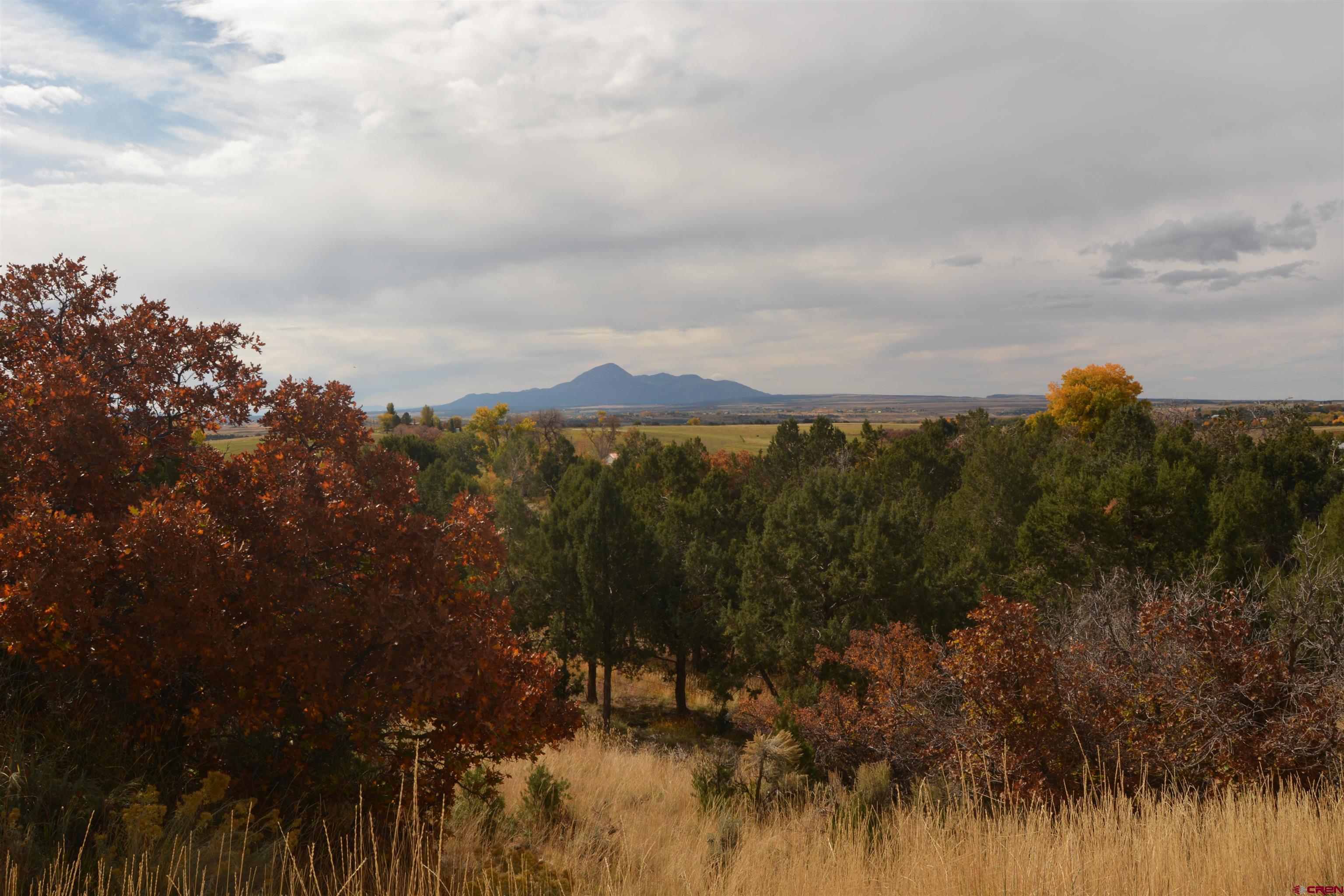 23040 Rd X Lewis, CO 81327 - Photo 1 of 35 Gallery Image 1
