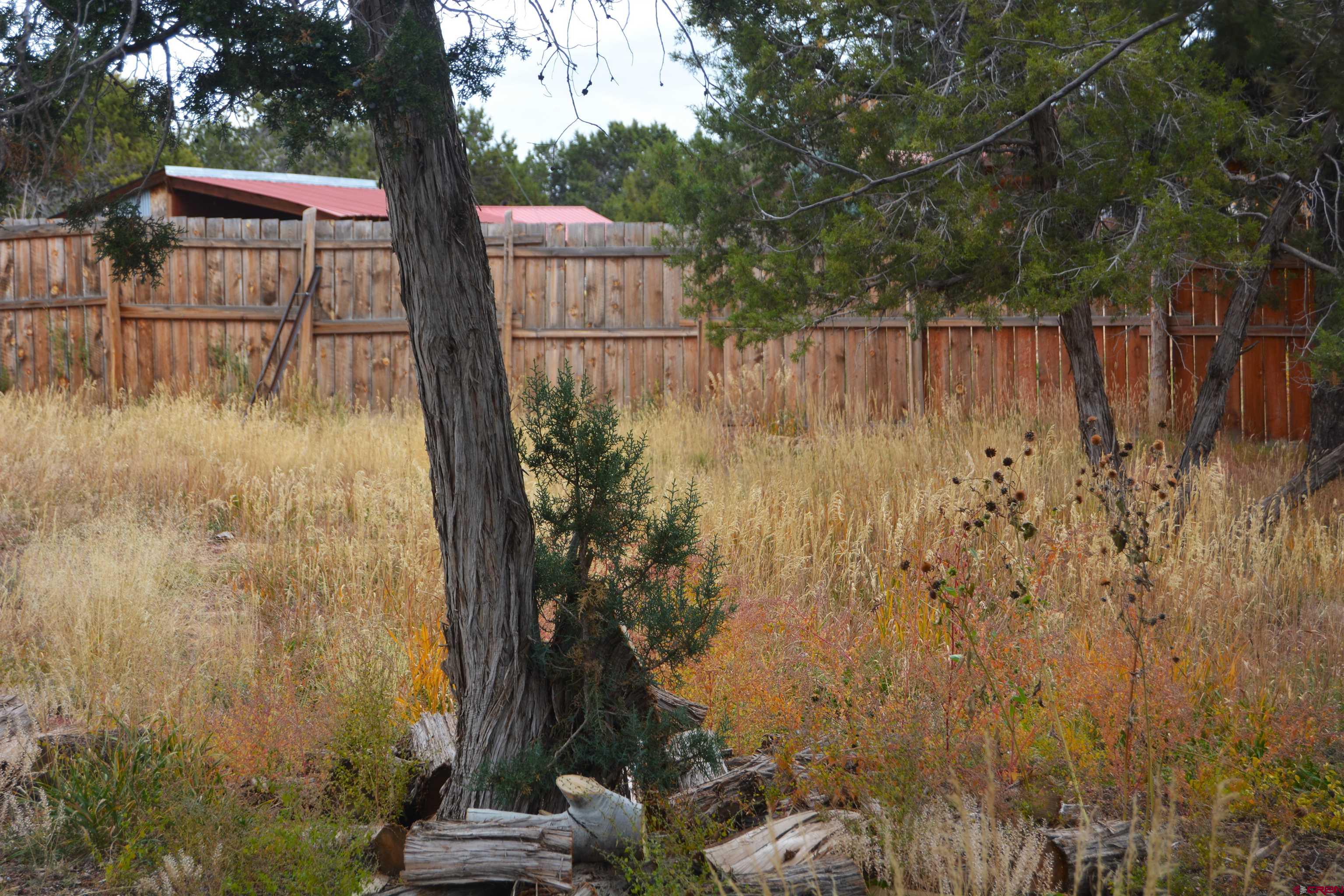 23040 Rd X Lewis, CO 81327 - Photo 34 of 35 Gallery Image 34