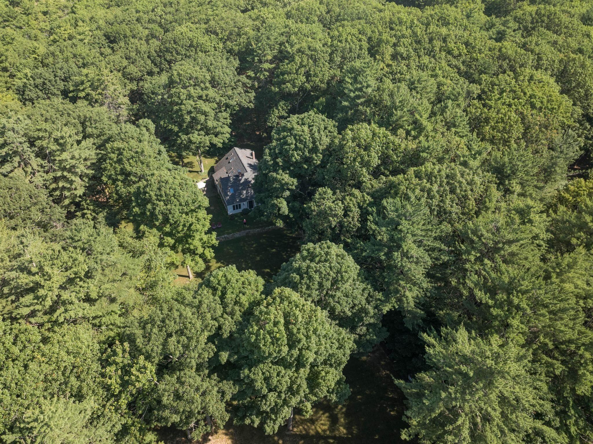 180 Clay Hill Road York, ME 03902 - Photo 3 of 39 Majestic Trees Abound