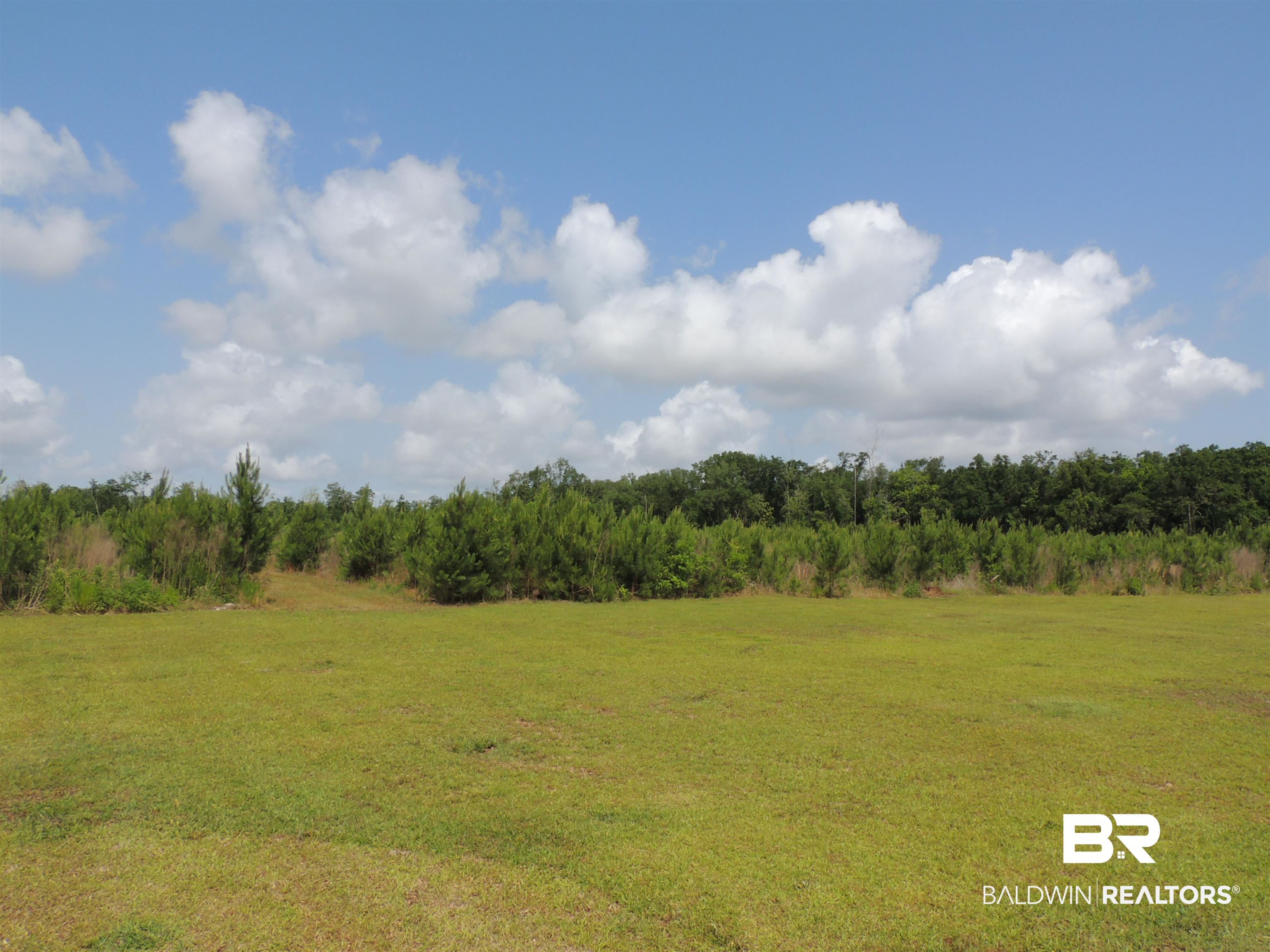 21655 Sedlack Road Silverhill, AL 36576 - Photo 10 of 36
