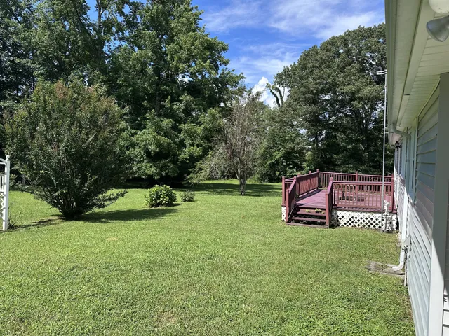 a view of a park with a slide
