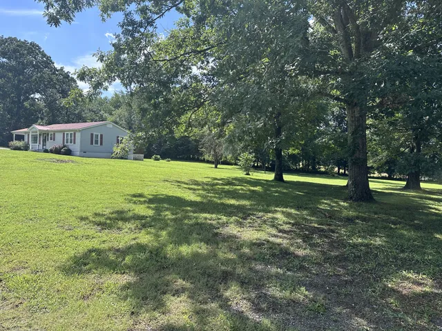 a view of a trees in a yard