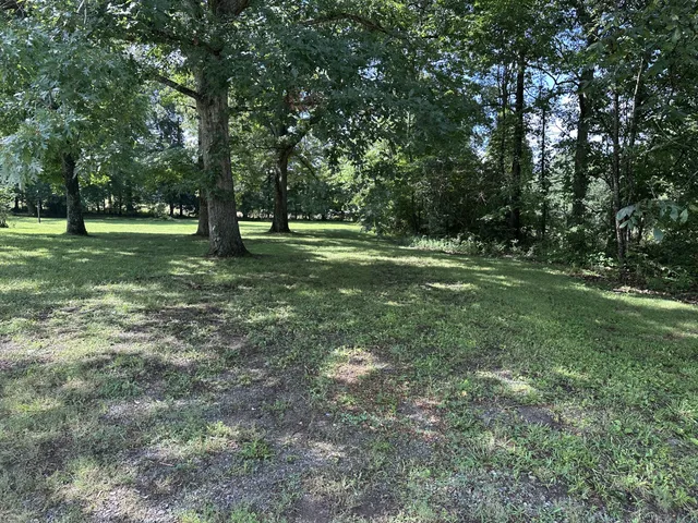 a view of outdoor space with trees all around