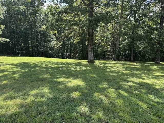 a grassy field with trees in the background