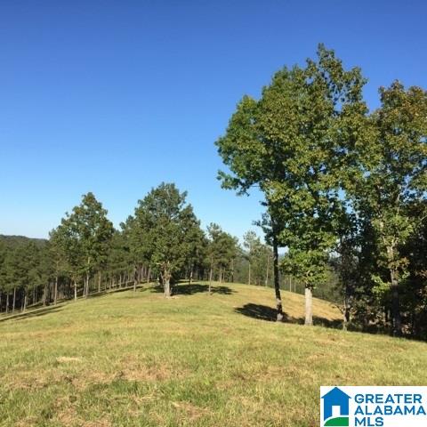 1785 Nunnally Lake Road Ohatchee, AL 36271 - Photo 26 of 50
