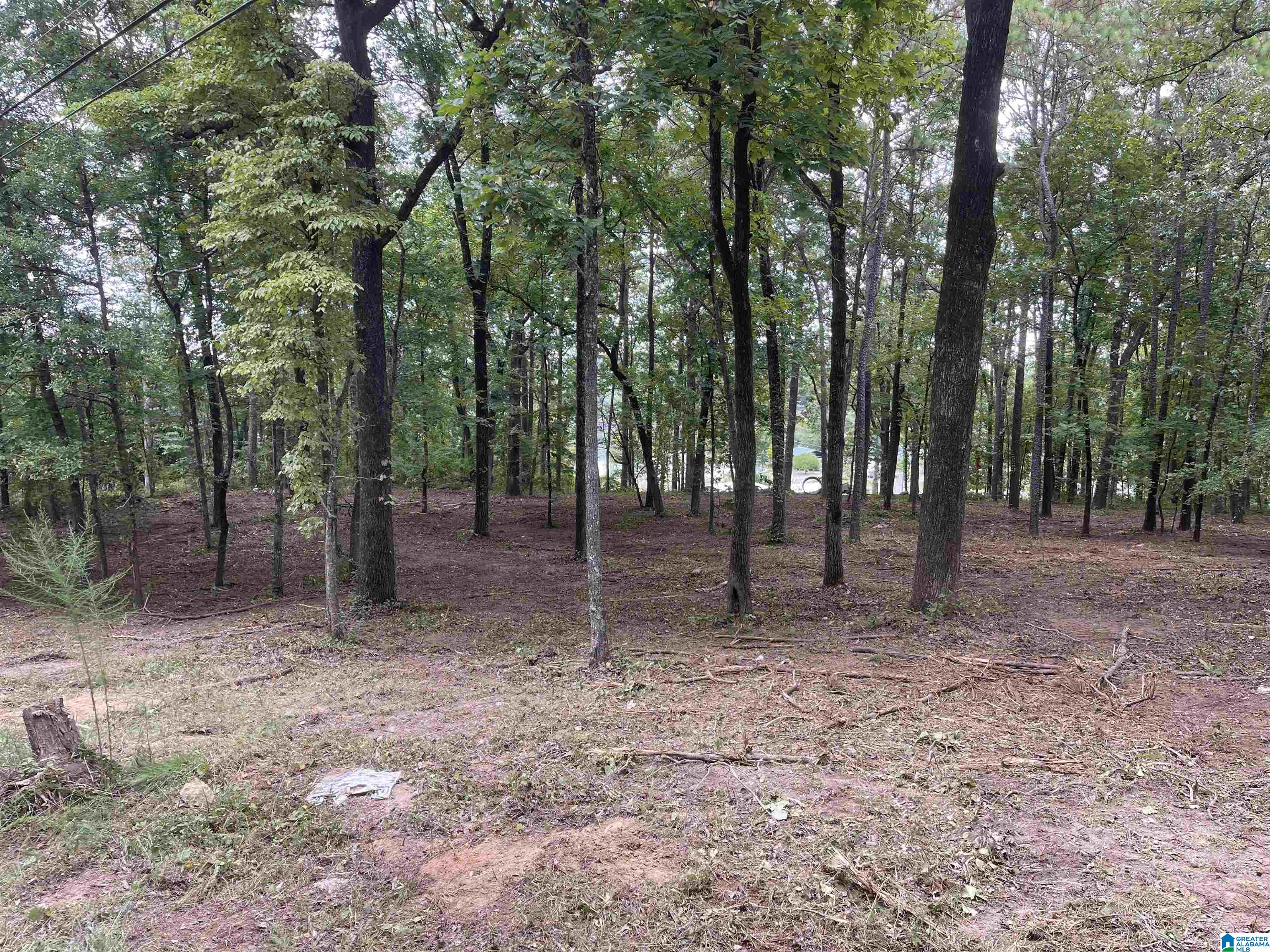 1 Centaurus Circle, Unit 2 Alpine, AL 35014 - Photo 12 of 15