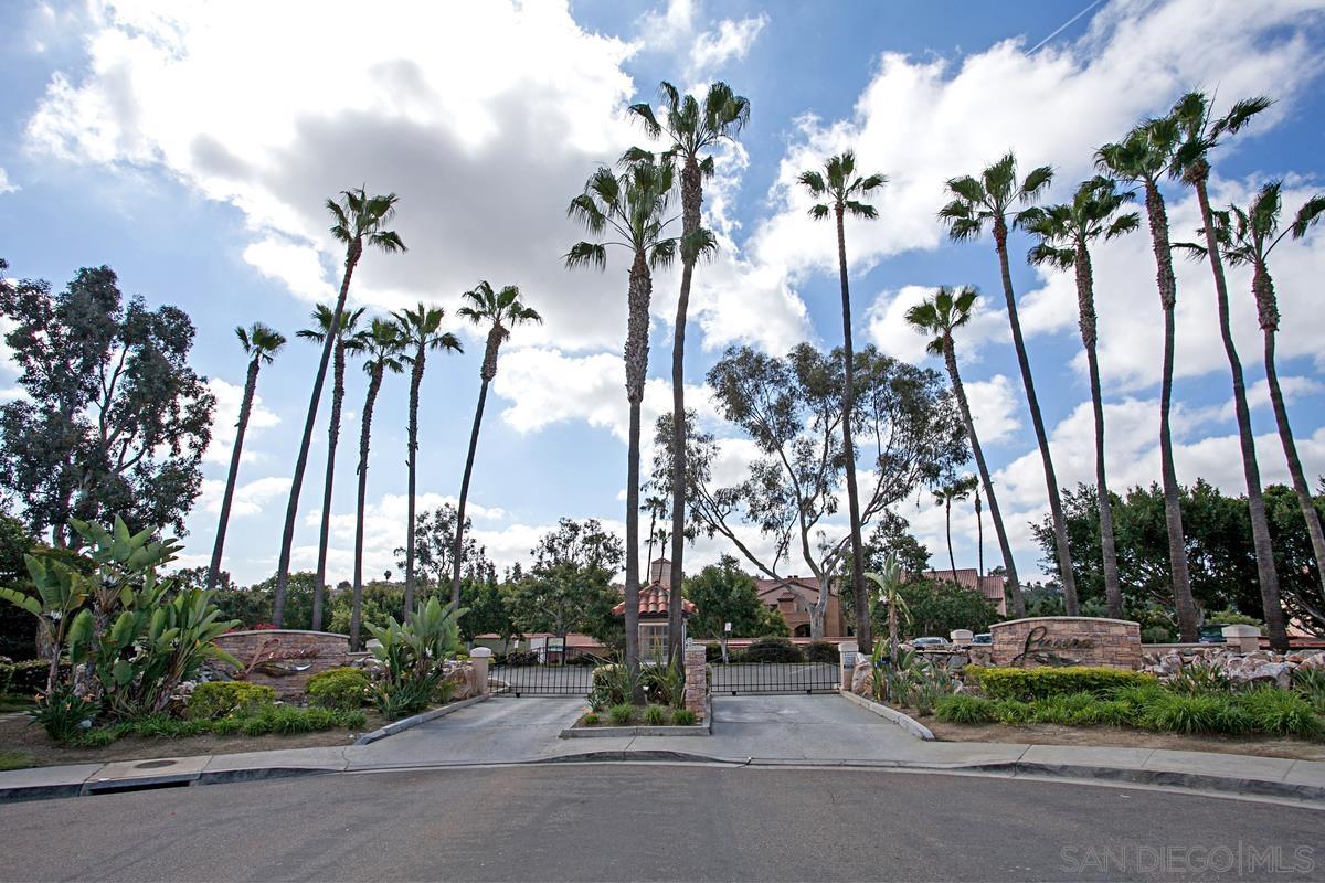 a view of a park with palm trees