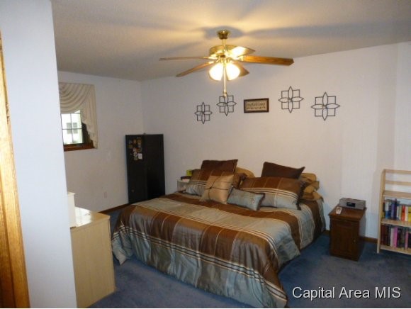 113 East Rutledge Street Petersburg, IL 62675 - Photo 8 of 12 Gallery Image 8