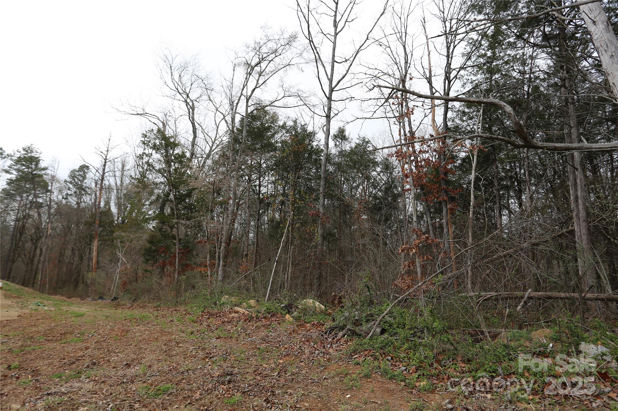 0 Old Trace Road Northwest Concord, NC 28027 - Photo 3 of 6