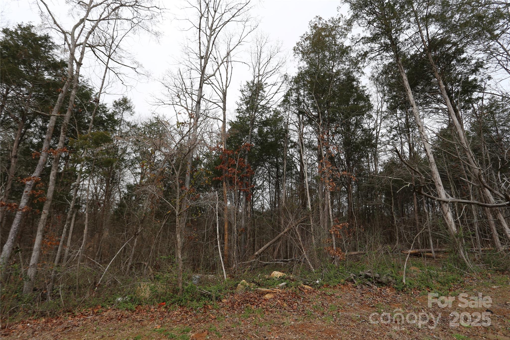 0 Old Trace Road Northwest Concord, NC 28027 - Photo 4 of 6