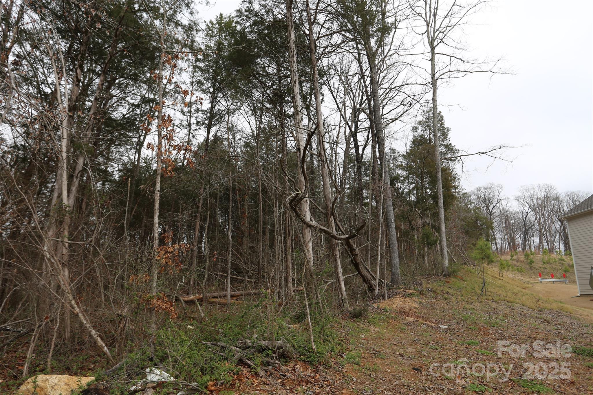 0 Old Trace Road Northwest Concord, NC 28027 - Photo 5 of 6
