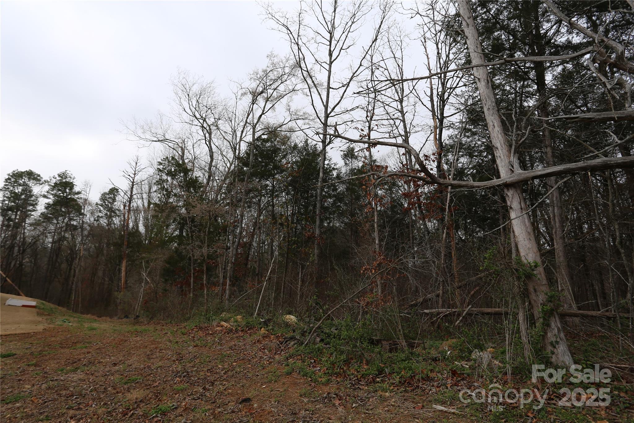 0 Old Trace Road Northwest Concord, NC 28027 - Photo 6 of 6