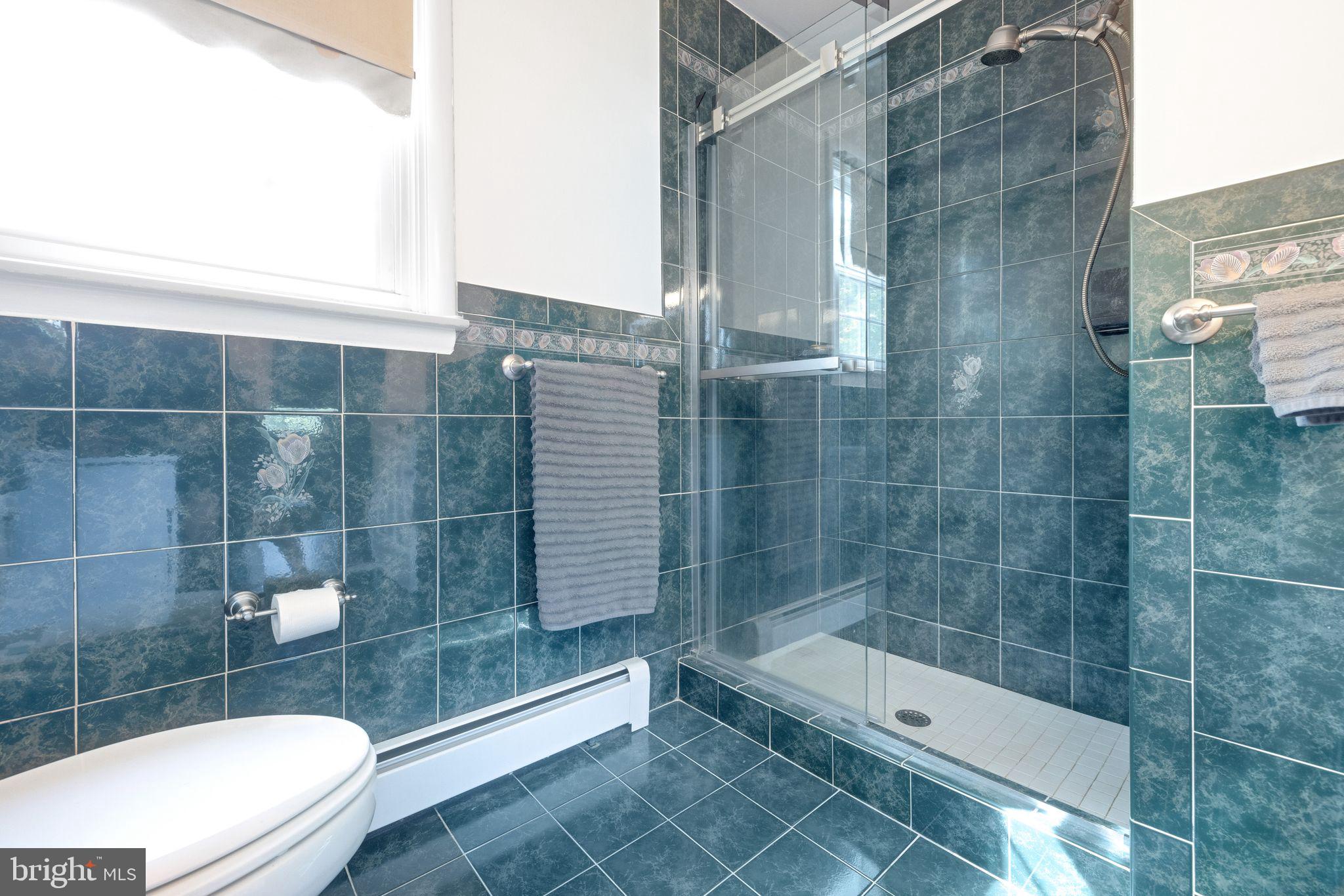 3652 Robin Road Furlong, PA 18925 - Photo 34 of 53 master shower