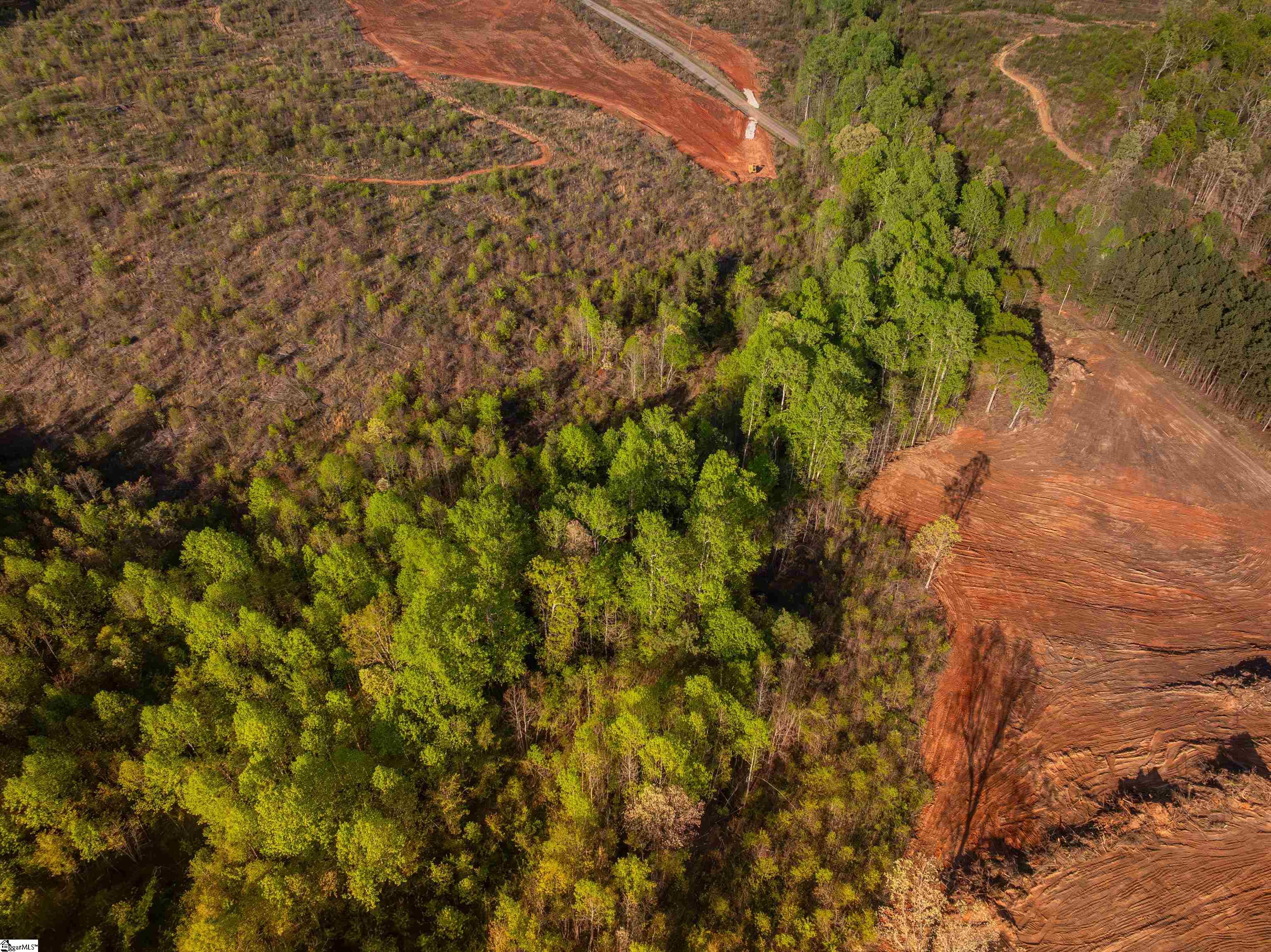 4 Hood Road, Unit LOT 4 Easley, SC 29640 - Photo 30 of 45