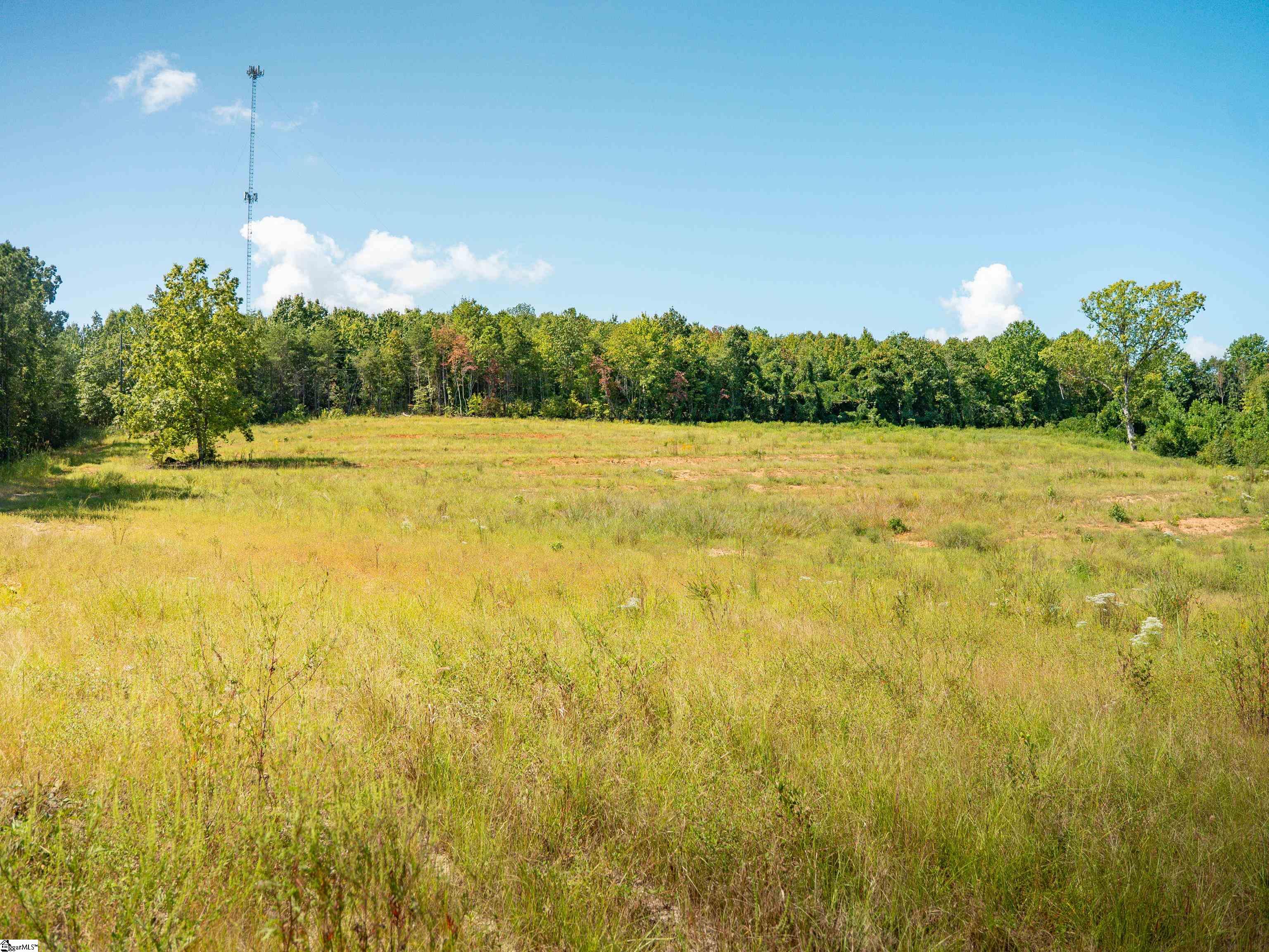 4 Hood Road, Unit LOT 4 Easley, SC 29640 - Photo 7 of 45