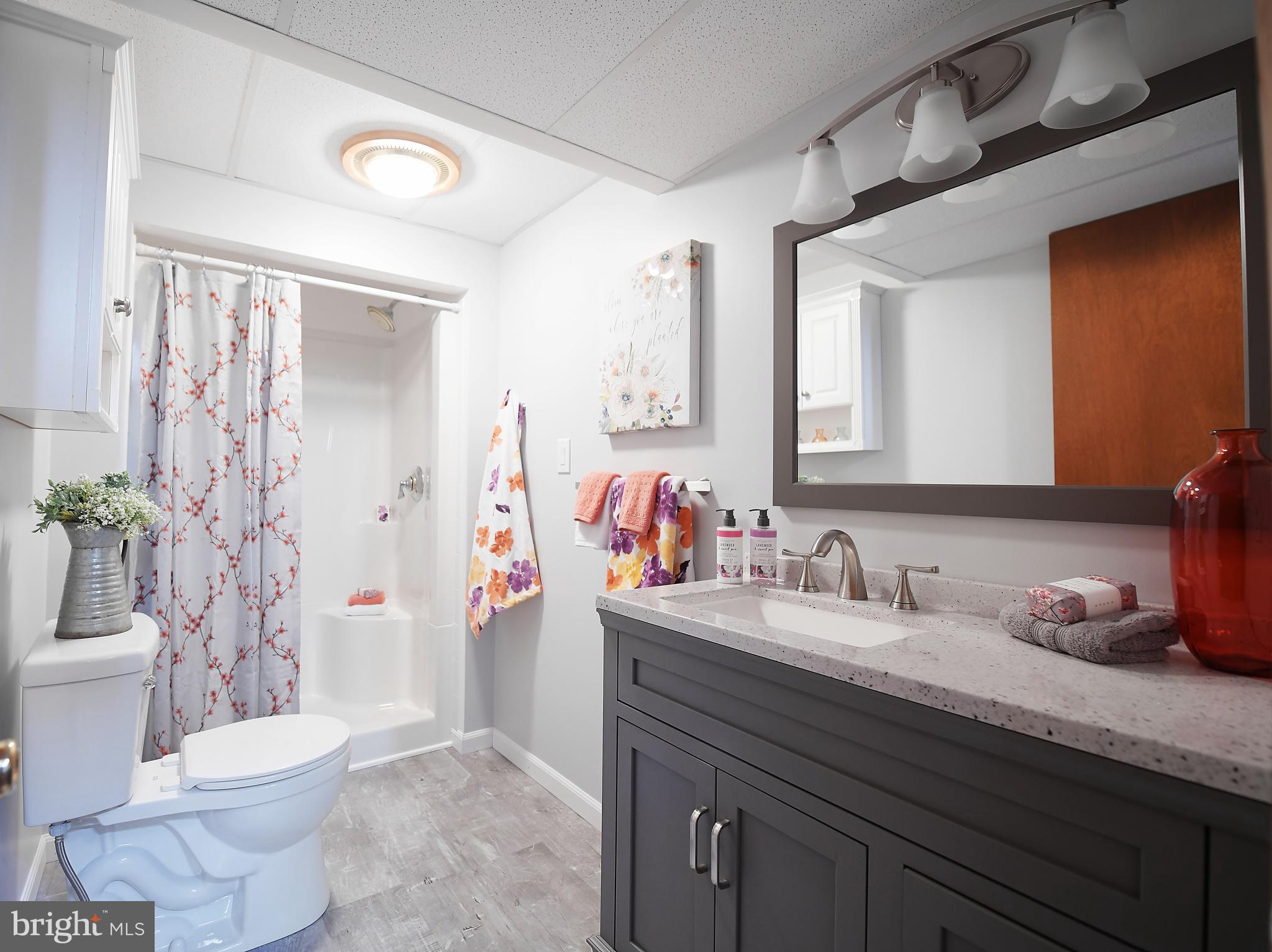 1451 Oldfield Point Road Elkton, MD 21921 - Photo 32 of 51 Full bathroom lower level hallway