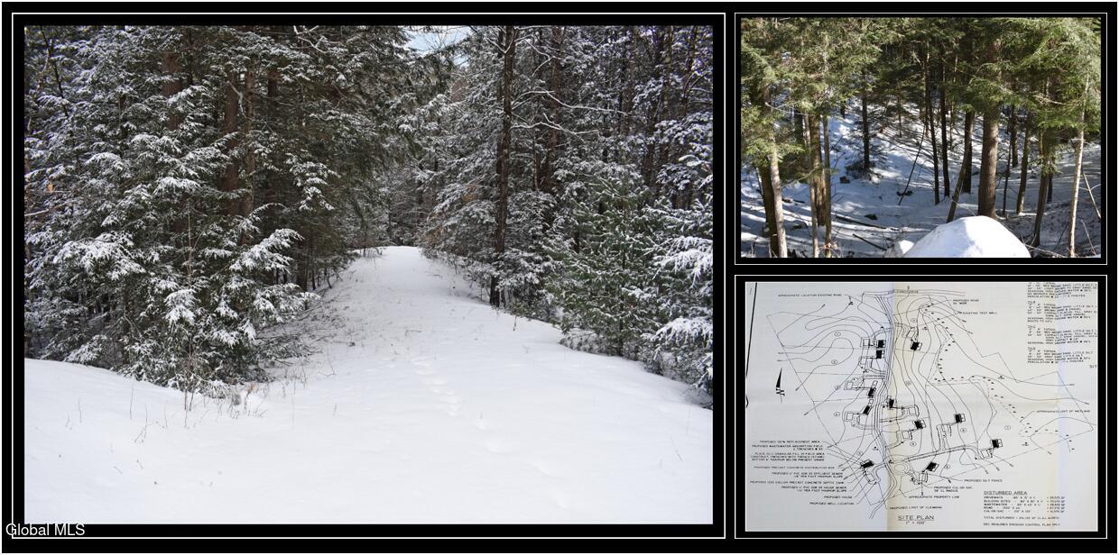 ADK Woods Lot 13 Cover