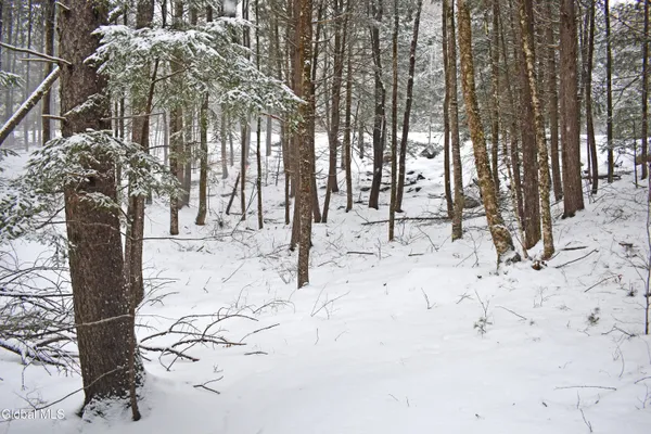 $37,500 | 13 Carriage Knolls Road, Chester, NY 12817