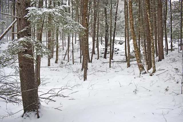 $37,500 | 13 Carriage Knolls Road, Chester, NY 12817