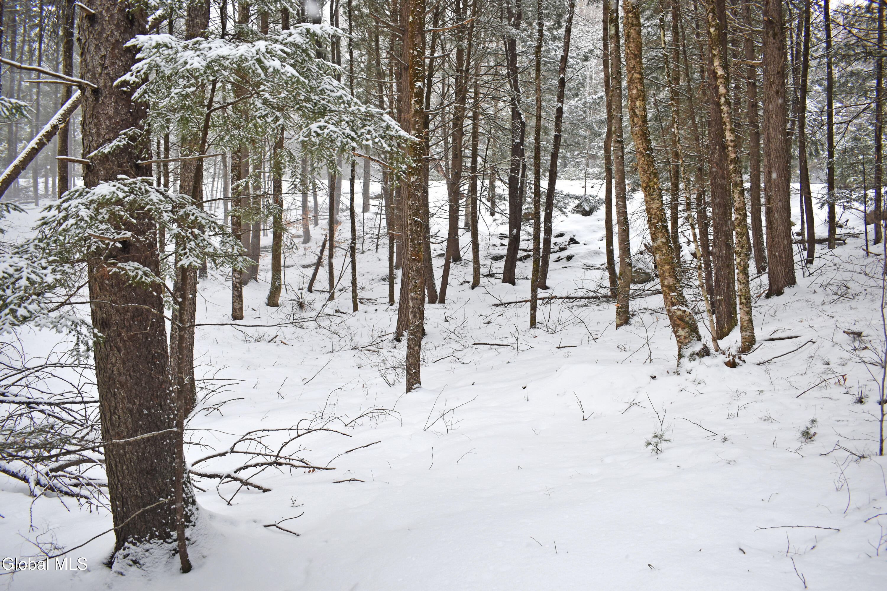 13 Carriage Knolls Road Chester, NY 12817 - Photo 11 of 16 DSC_0342