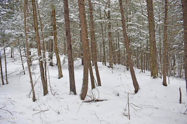 $37,500 | 13 Carriage Knolls Road, Chester, NY 12817