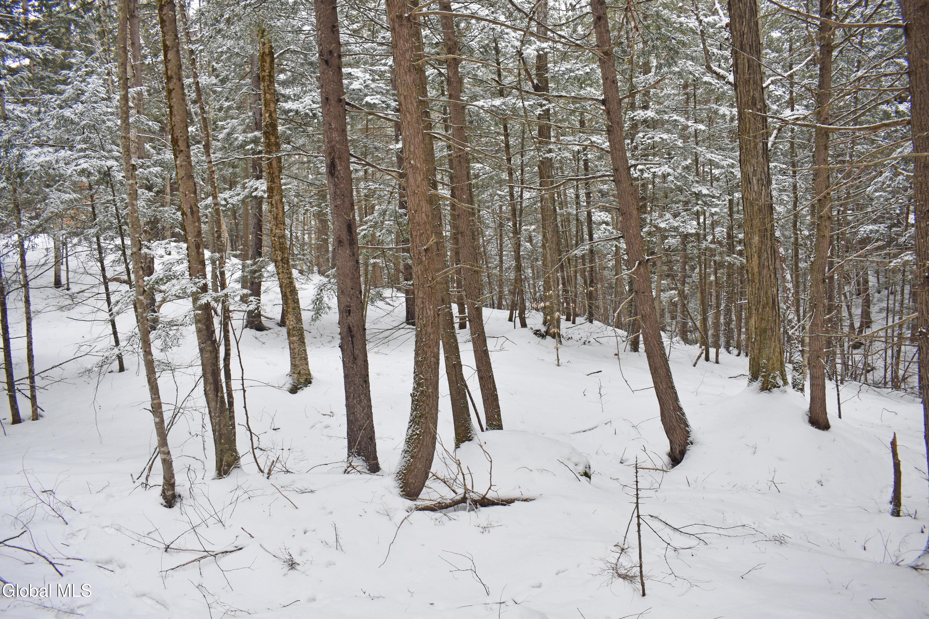 13 Carriage Knolls Road Chester, NY 12817 - Photo 12 of 16 DSC_0344