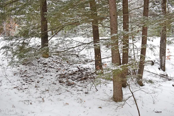 $37,500 | 13 Carriage Knolls Road, Chester, NY 12817