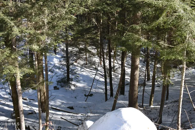 $37,500 | 13 Carriage Knolls Road, Chester, NY 12817