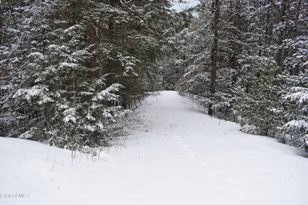 $37,500 | 13 Carriage Knolls Road, Chester, NY 12817
