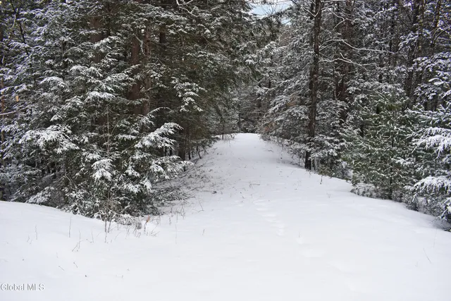 $37,500 | 13 Carriage Knolls Road, Chester, NY 12817