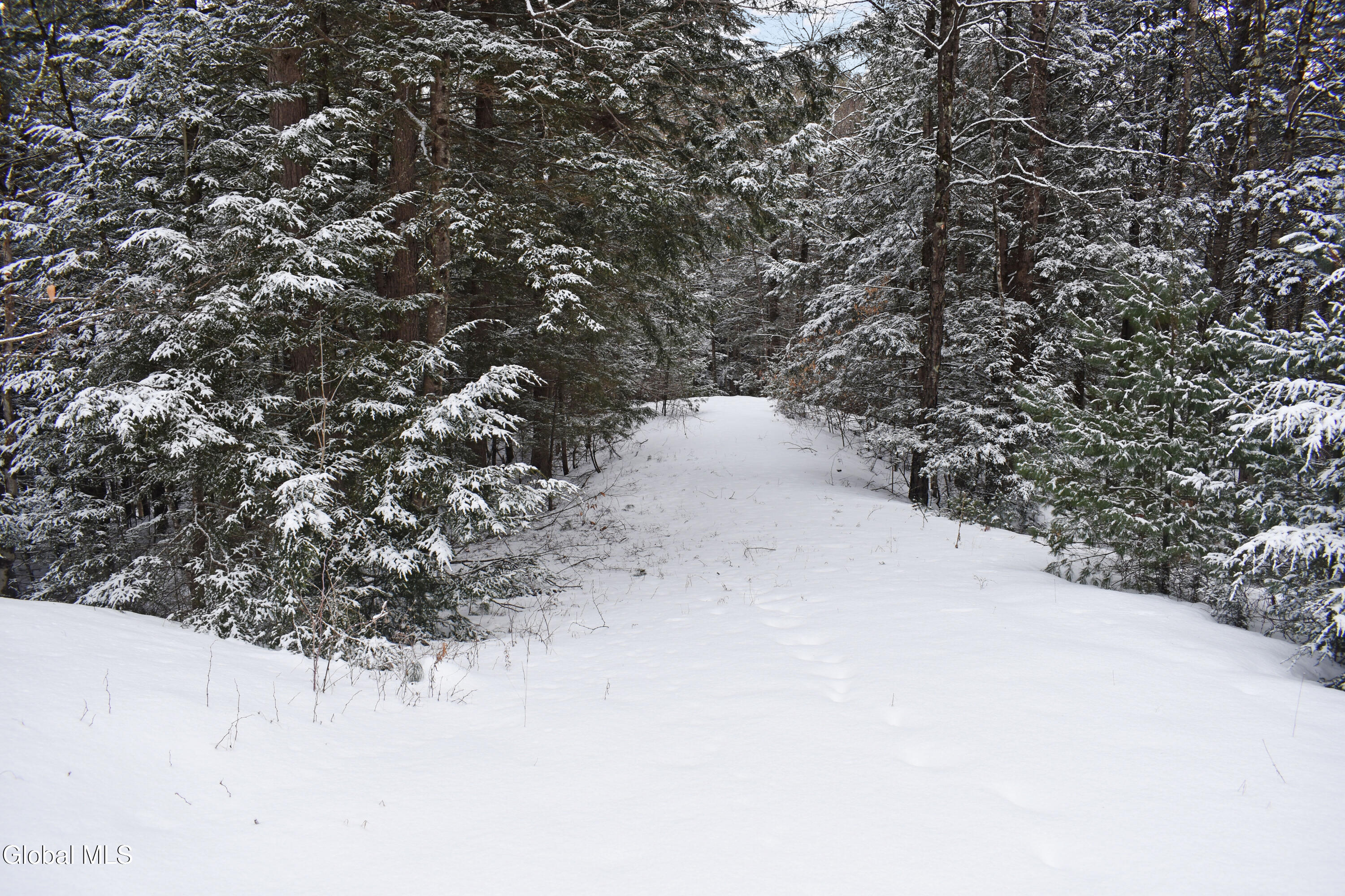 13 Carriage Knolls Road Chester, NY 12817 - Photo 2 of 16 DSC_0332
