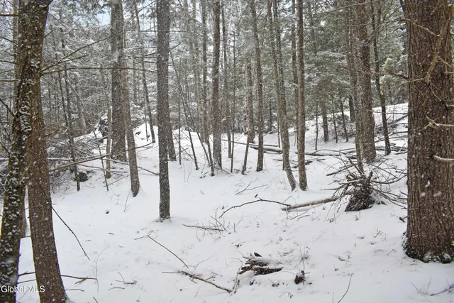 $37,500 | 13 Carriage Knolls Road, Chester, NY 12817