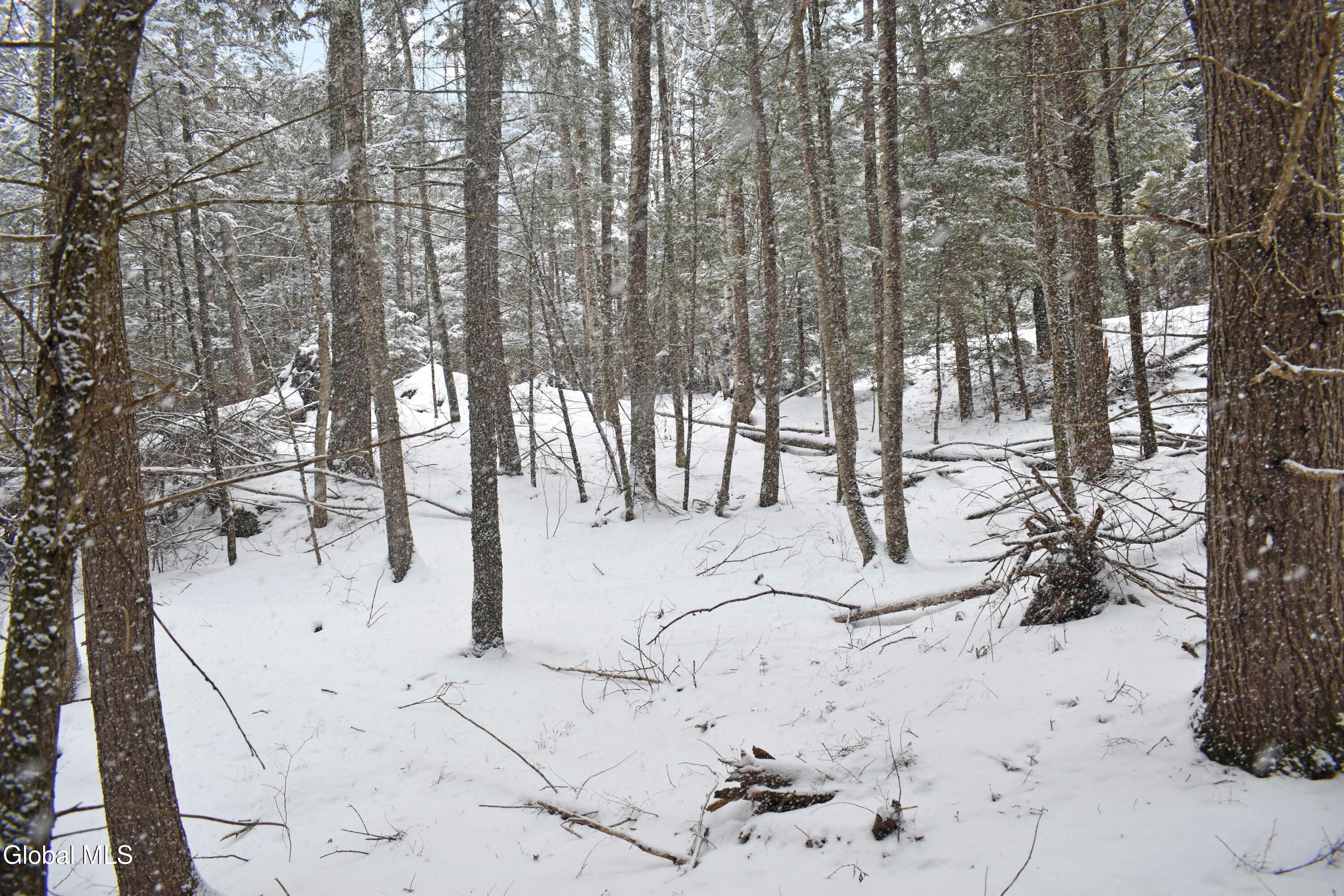 13 Carriage Knolls Road Chester, NY 12817 - Photo 3 of 16 DSC_0347