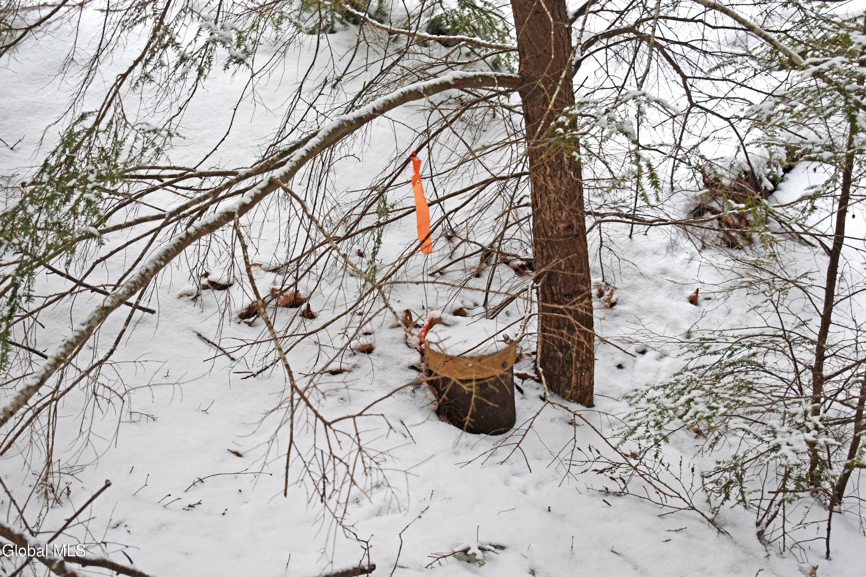 13 Carriage Knolls Road Chester, NY 12817 - Photo 4 of 16 DSC_0334