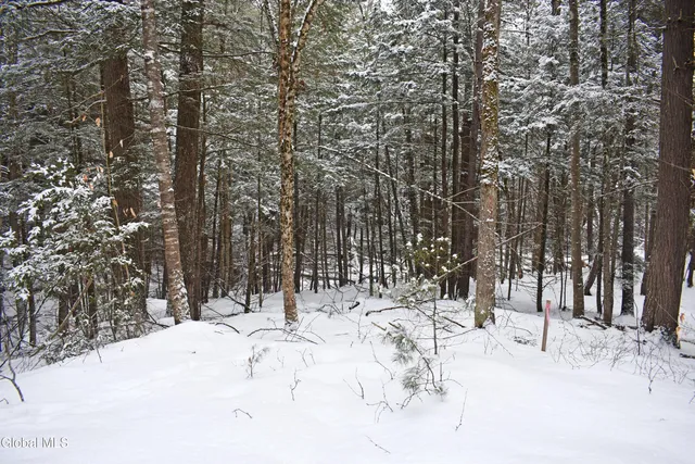 $37,500 | 13 Carriage Knolls Road, Chester, NY 12817