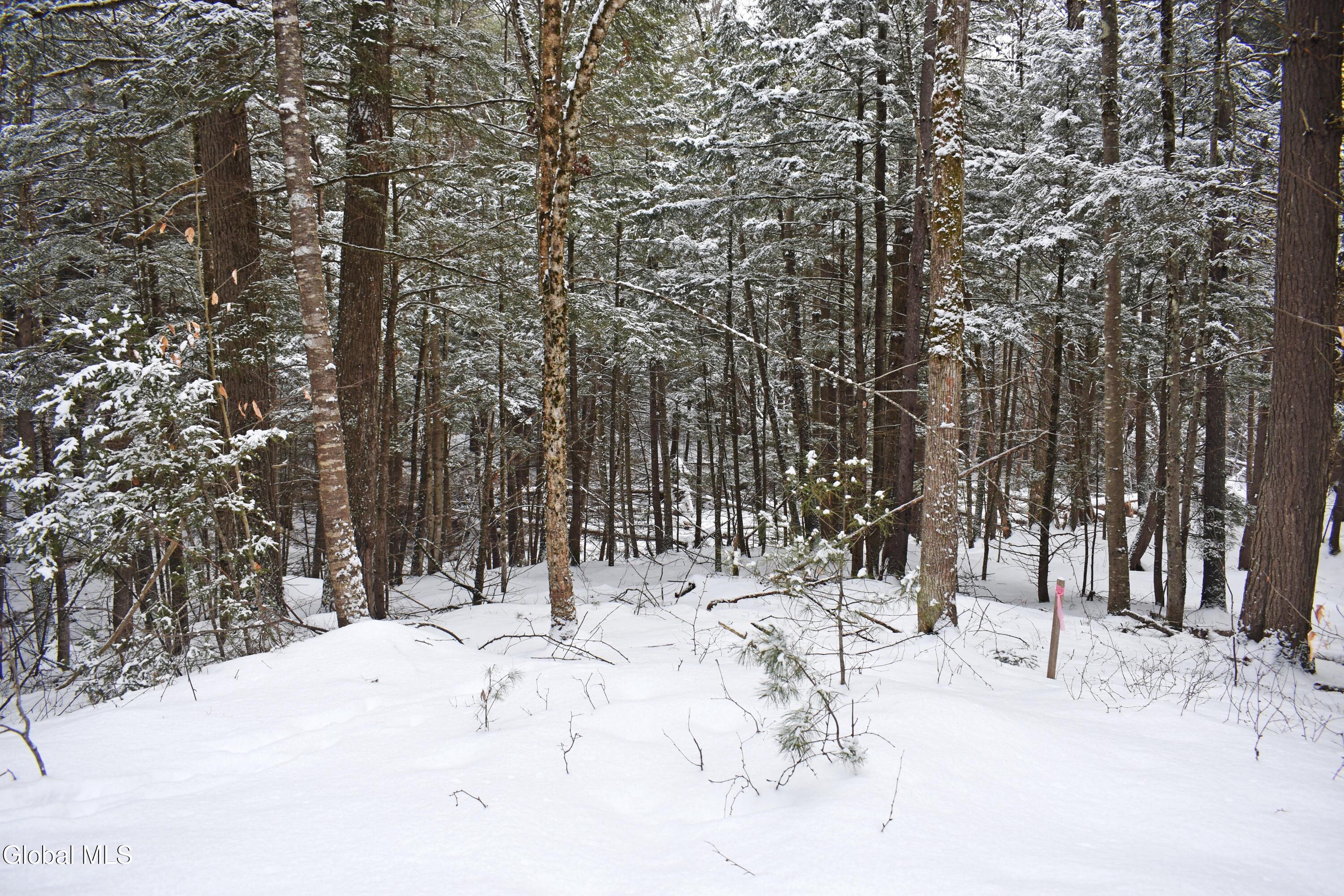 13 Carriage Knolls Road Chester, NY 12817 - Photo 5 of 16 DSC_0337