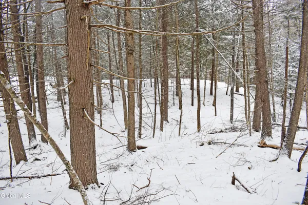 $37,500 | 13 Carriage Knolls Road, Chester, NY 12817