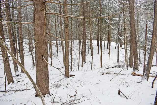 $37,500 | 13 Carriage Knolls Road, Chester, NY 12817