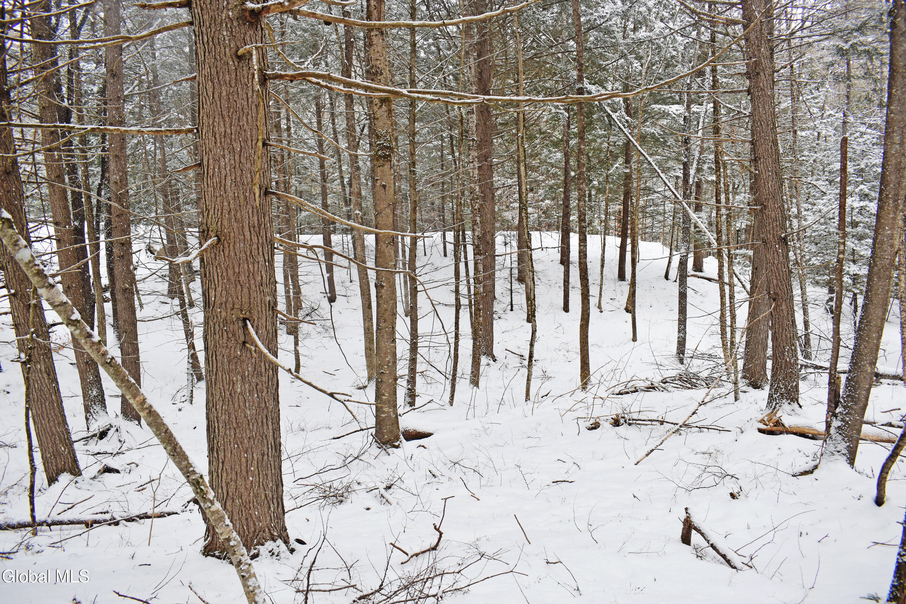 13 Carriage Knolls Road Chester, NY 12817 - Photo 6 of 16 DSC_0345