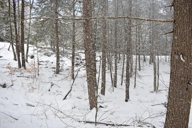 $37,500 | 13 Carriage Knolls Road, Chester, NY 12817