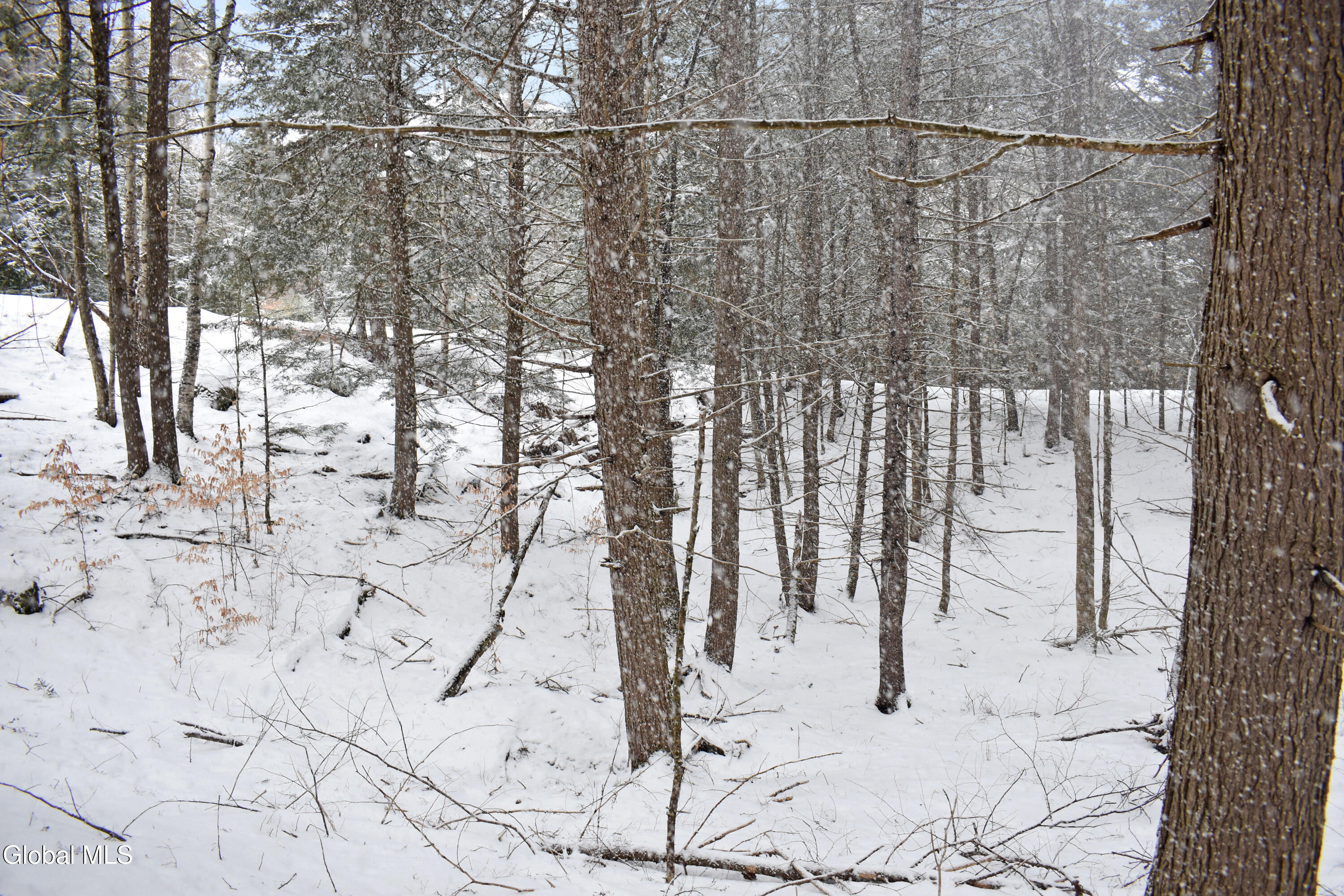 13 Carriage Knolls Road Chester, NY 12817 - Photo 7 of 16 DSC_0346