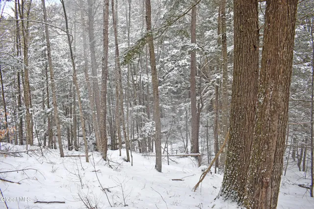 $37,500 | 13 Carriage Knolls Road, Chester, NY 12817