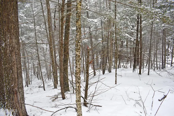 $37,500 | 13 Carriage Knolls Road, Chester, NY 12817