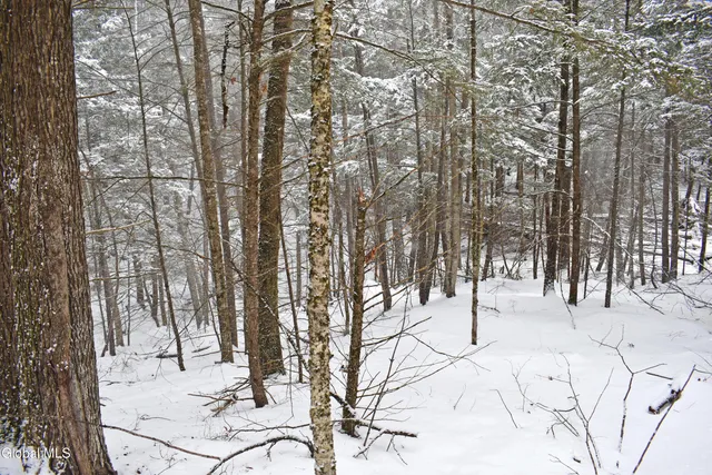 $37,500 | 13 Carriage Knolls Road, Chester, NY 12817