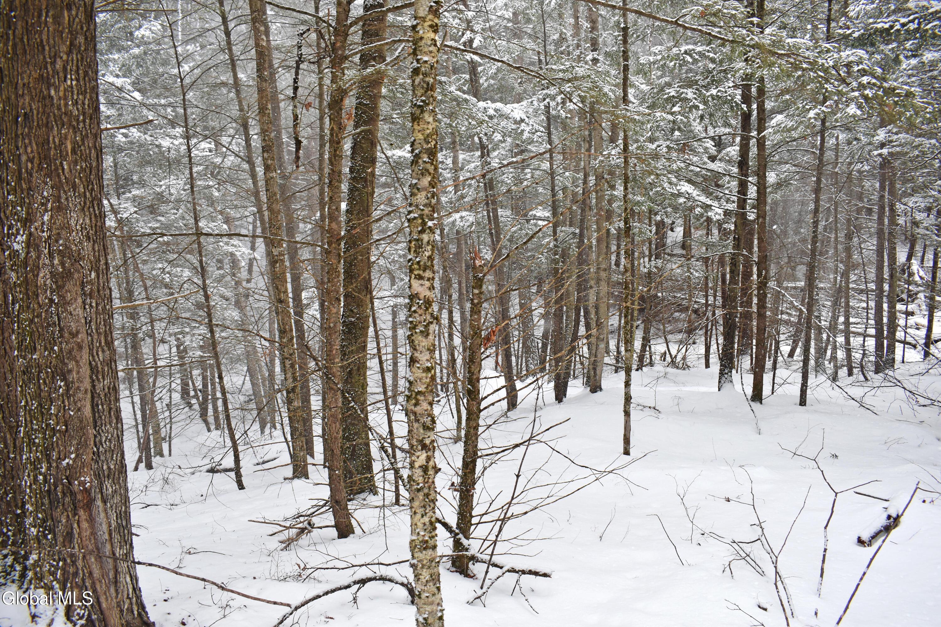 13 Carriage Knolls Road Chester, NY 12817 - Photo 9 of 16 DSC_0340
